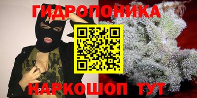 кокс Берёзовский