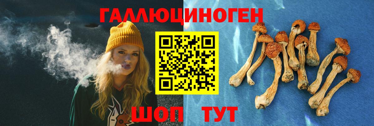Галлюциногенные грибы Magic Shrooms  Вход с VPN  Галлюциногенные грибы прущие грибы  Заволжье 